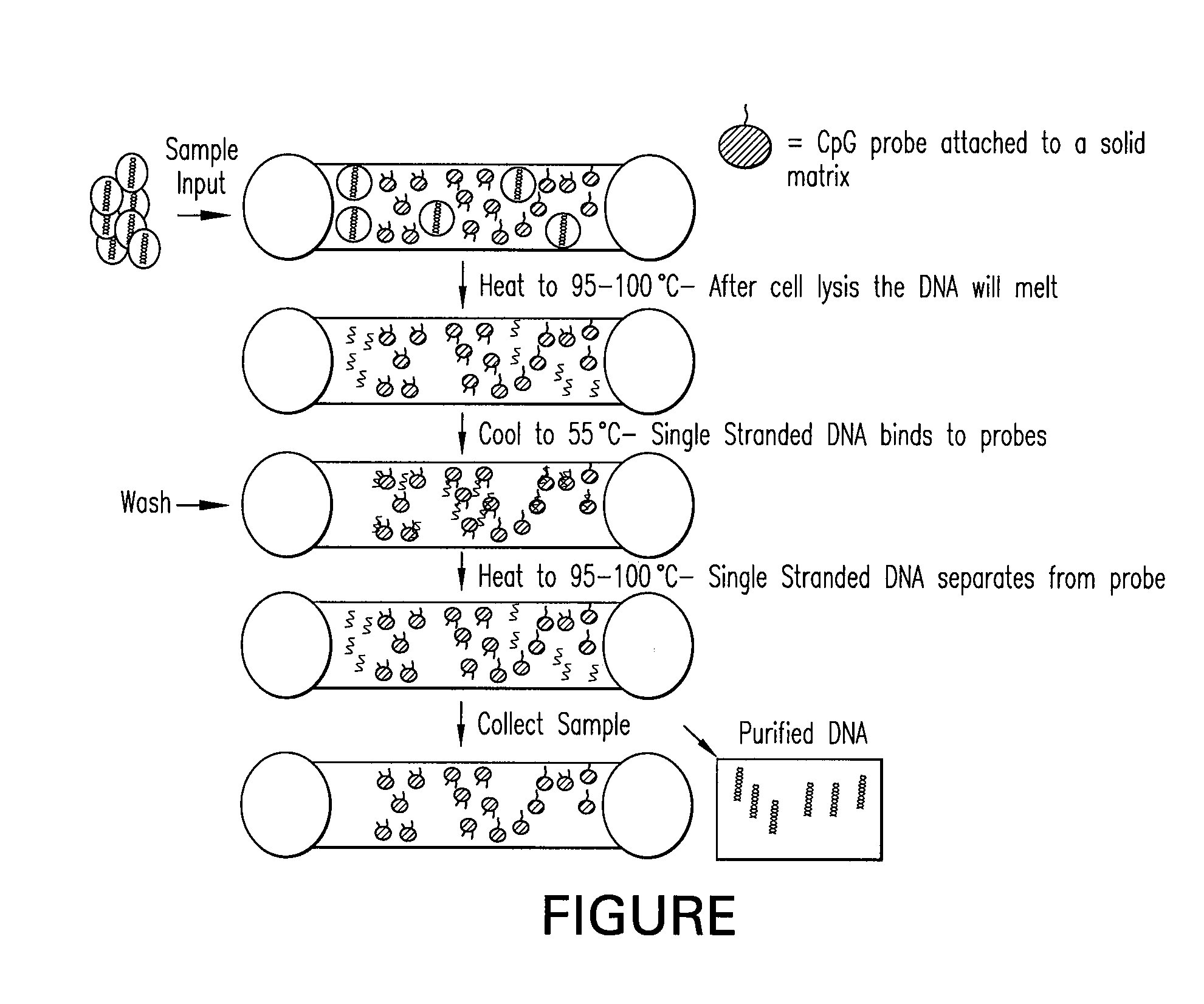 Method of Separating Target DNA from Mixed DNA