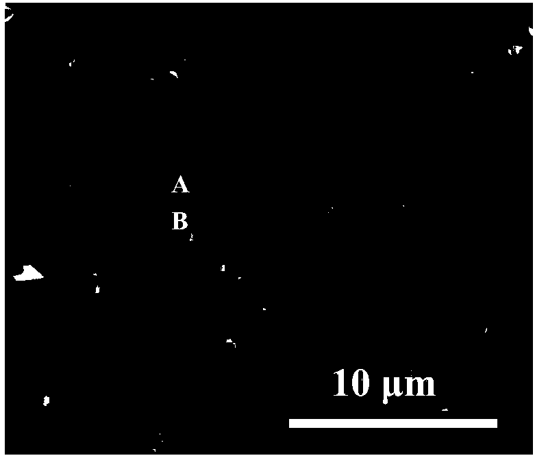 Y-contained high-abundance rare earth permanent magnet and preparation method thereof