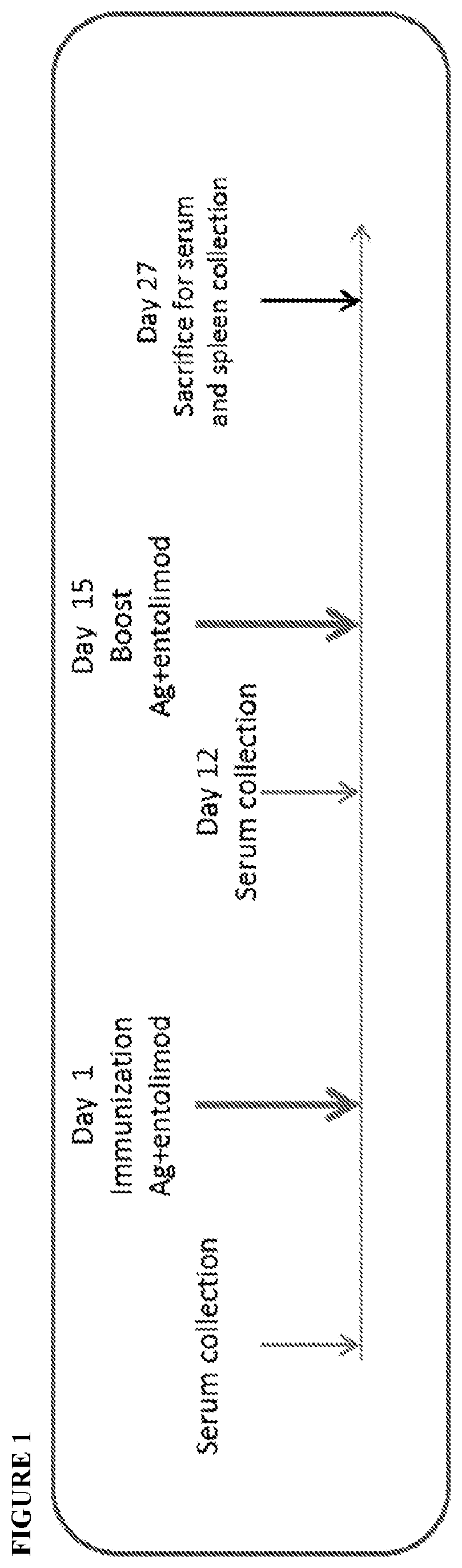 Methods of increasing vaccine efficacy