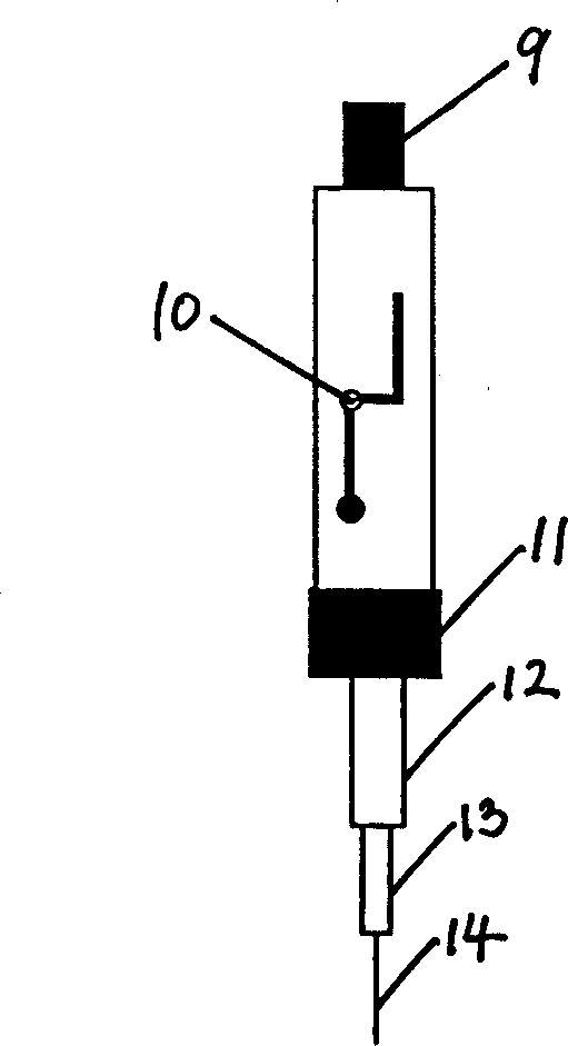 Sediment interstitial water in-situ sampling method and apparatus