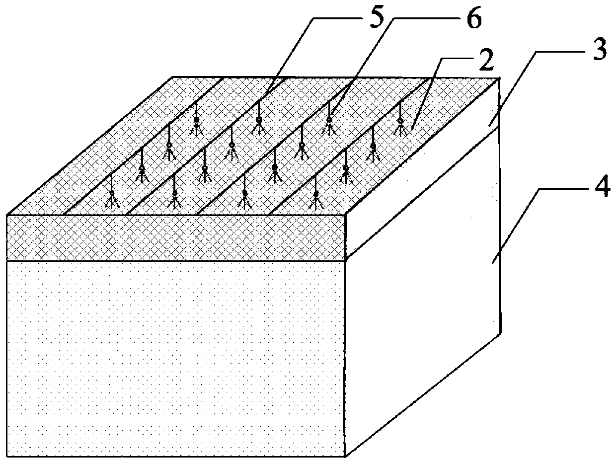 Method of curing soil body through motivating and cultivating microorganism in situ