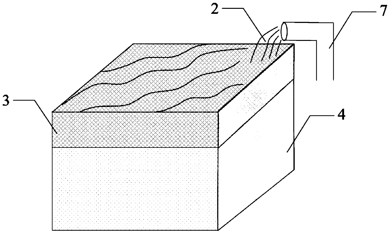 Method of curing soil body through motivating and cultivating microorganism in situ