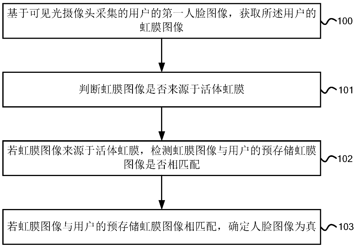 Anti-counterfeiting method and device based on living iris