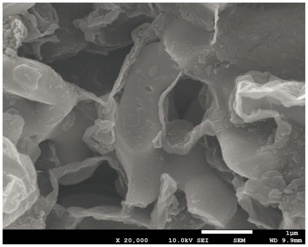 TiN/C coated lithium tritium orthosilicate breeding agent and preparation method and preparation device system thereof