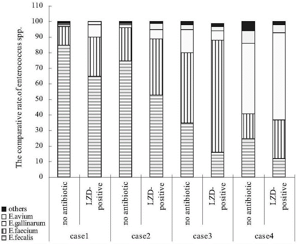 Method and reagent for detecting linezolid drug-resistant enterococcus fixed planting