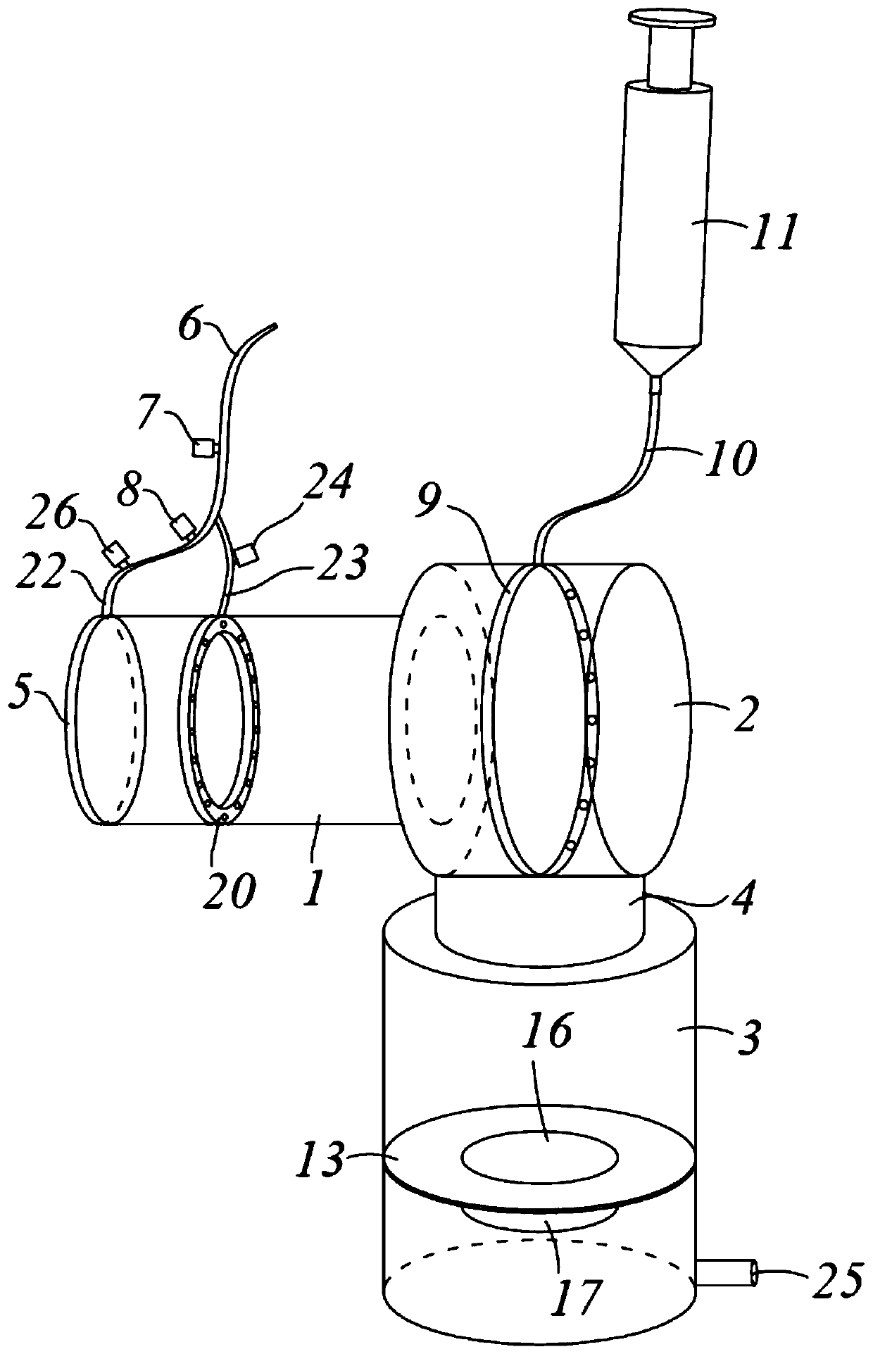 Rehabilitation device for use after circumcision