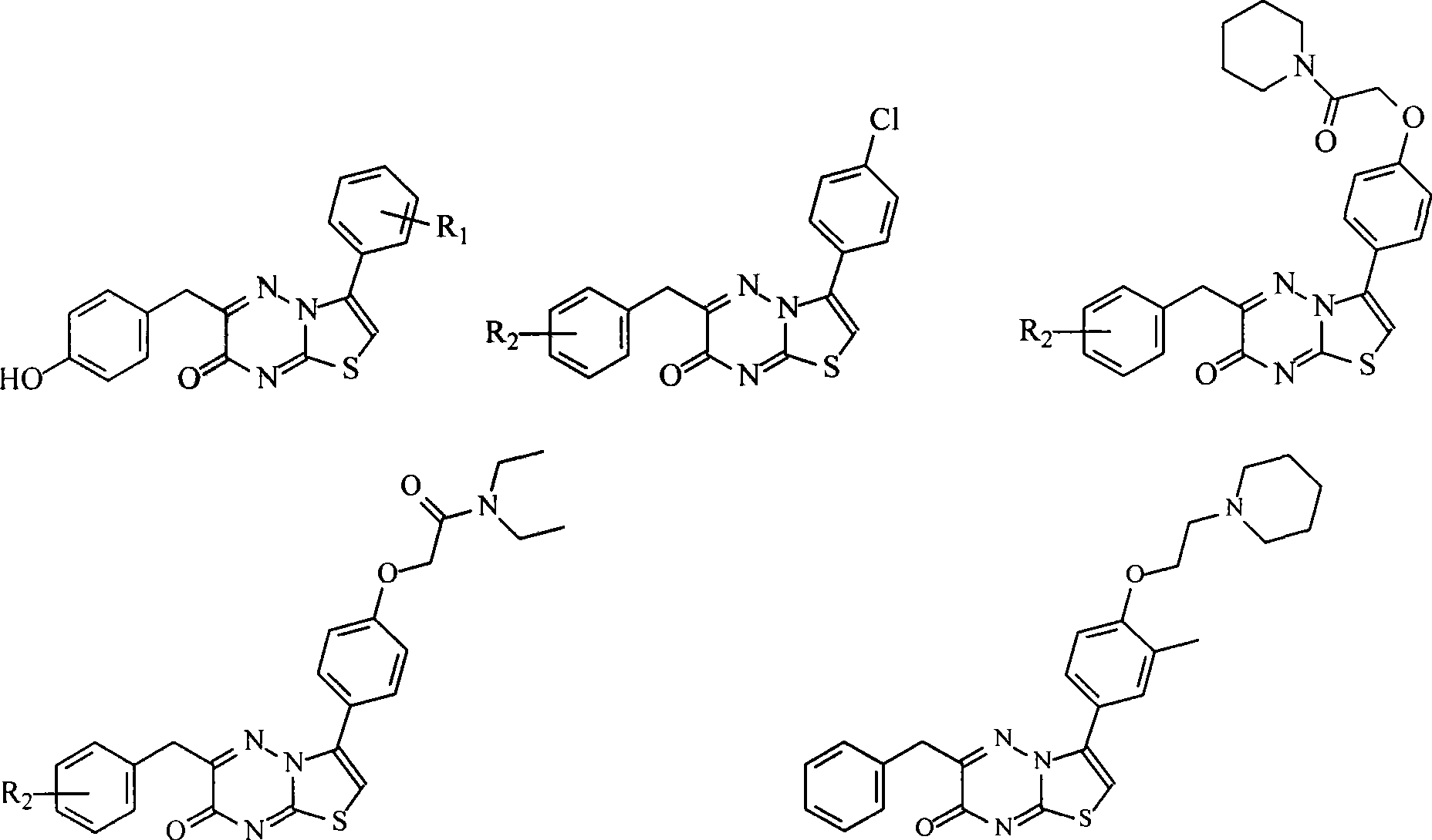 Thiazolo[3,2-b]-1,2,4-triazine derivative and use thereof