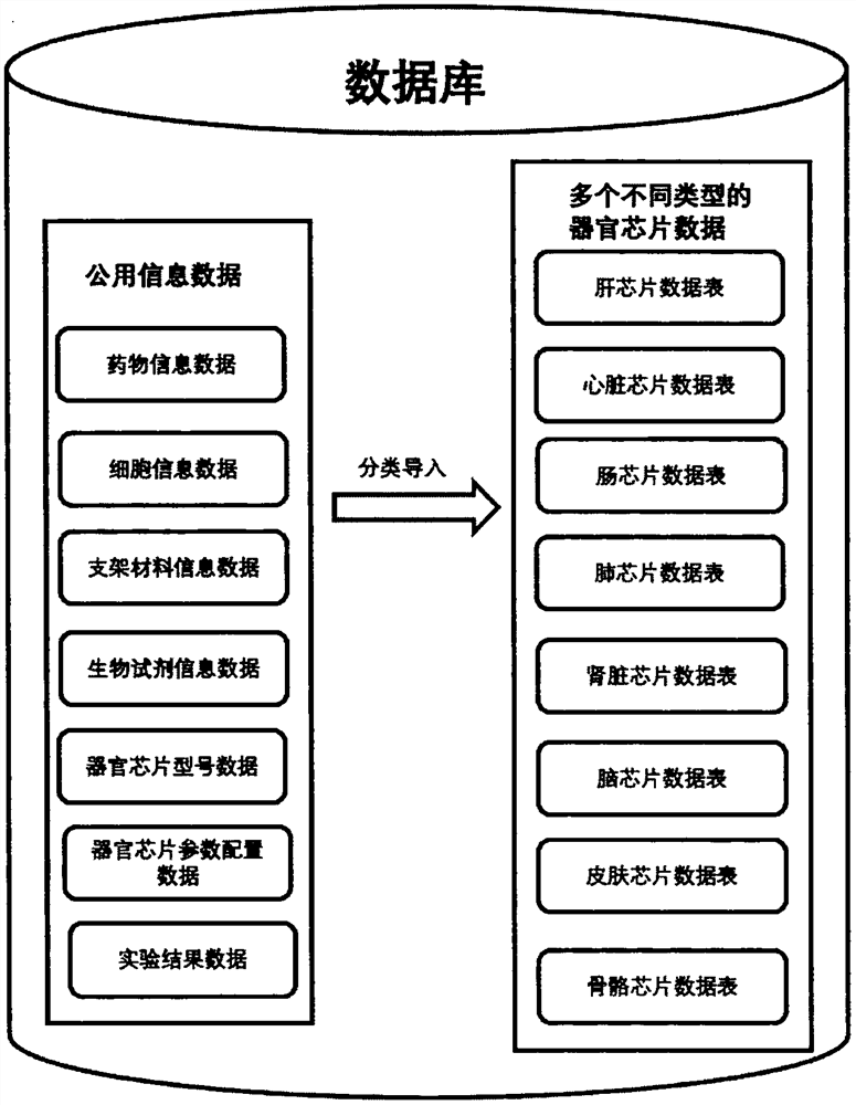 Design method of multi-type organ chip database