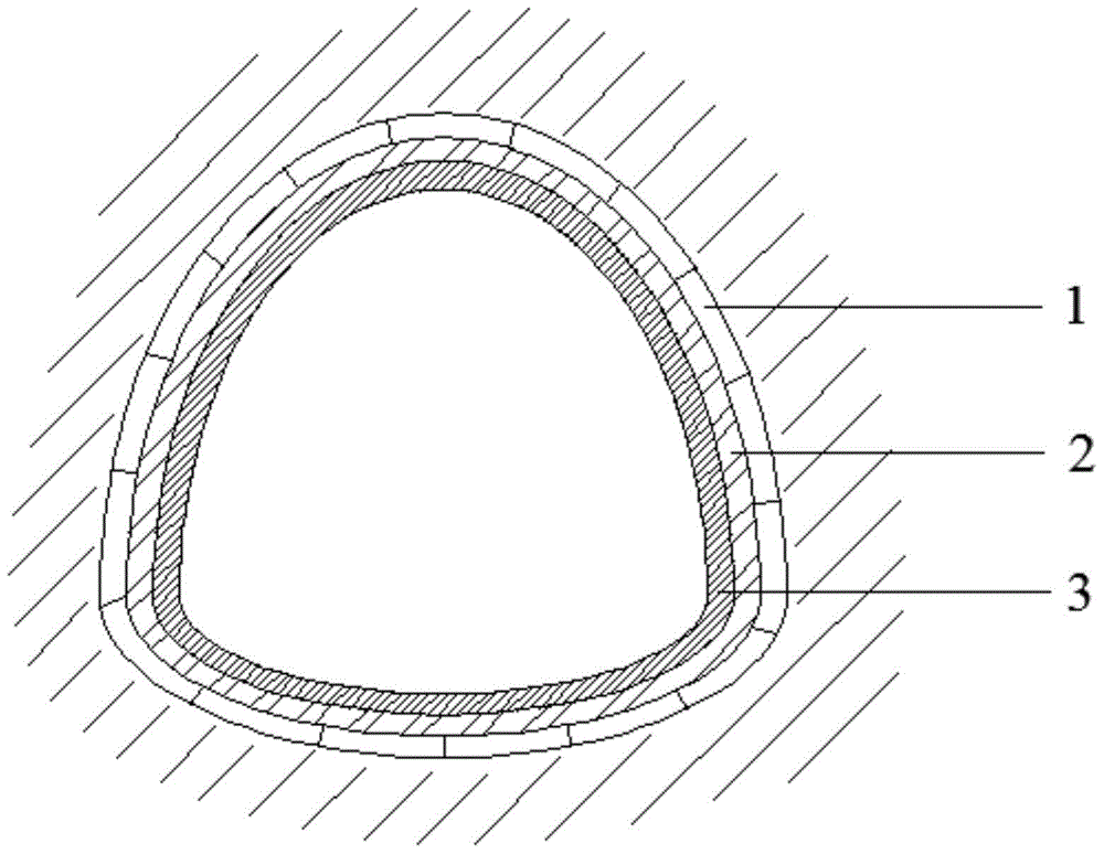 A support device and support method for a loess tunnel