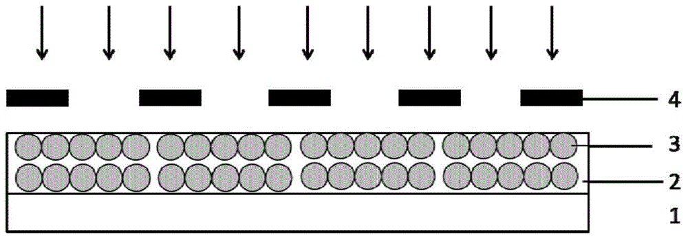 Photosensitive resin composition and method for preparing quantum dot pattern with photosensitive resin composition