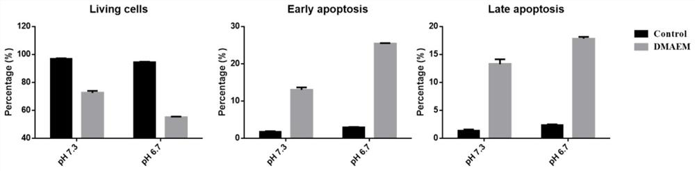 Oral tumor resistant pH sensitive intelligent material and application thereof