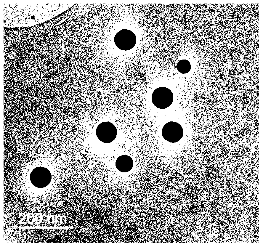 Chitosan nano-selenium hydrosol with immune enhancement effect and preparation, preservation and application