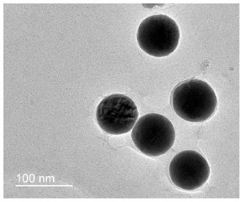 Chitosan nano-selenium hydrosol with immune enhancement effect and preparation, preservation and application