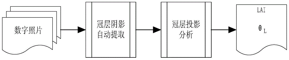 A Method of Extracting Leaf Area Index and Average Leaf Incline Angle Using Vegetation Canopy Shade