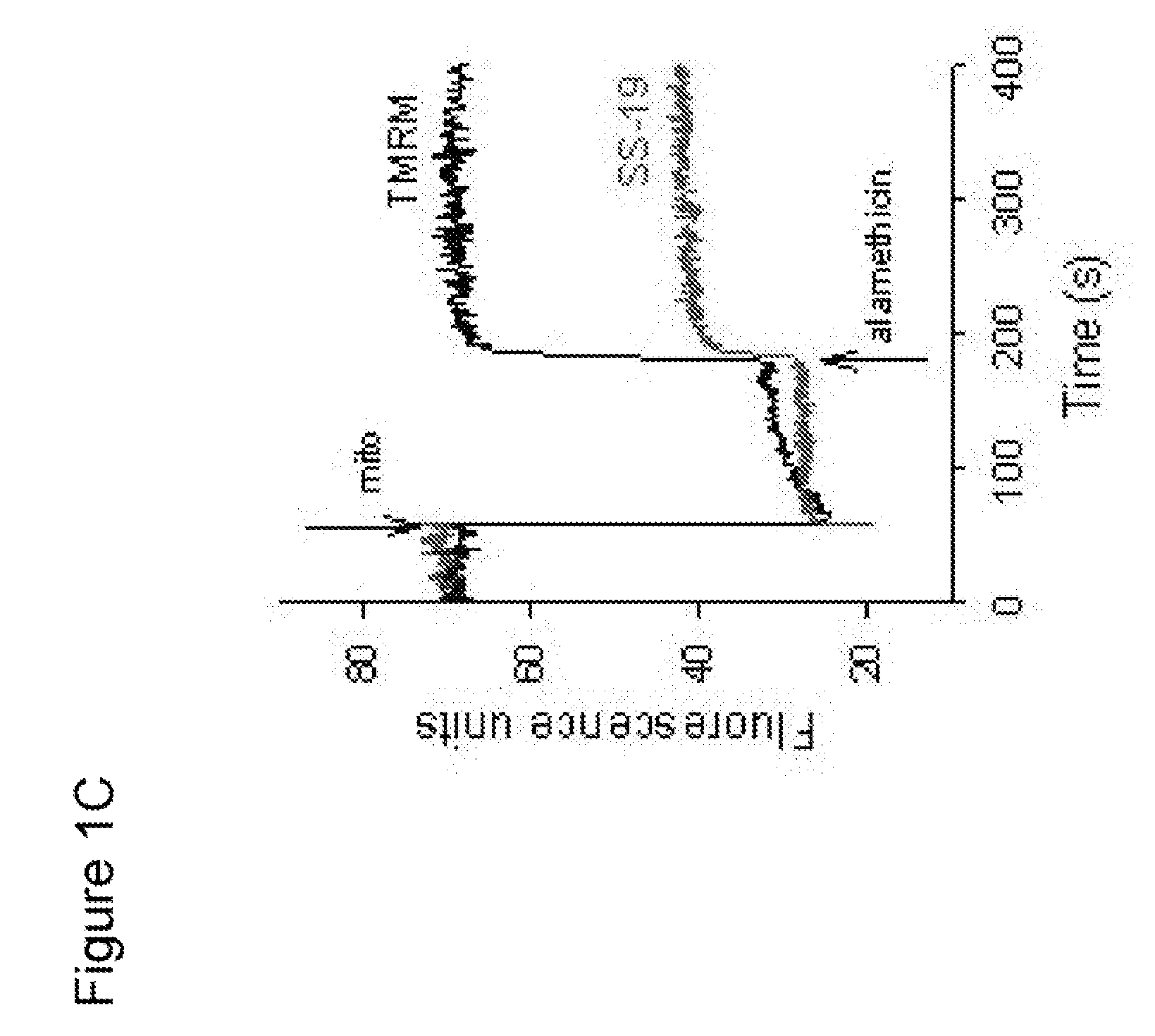 Methods for preventing mitochondrial permeability transition