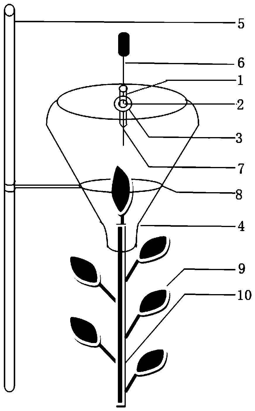 Analysis method of volatile metabolic markers in Nicotiana tabacum L. with aroma mutant based on GC-MS characteristics