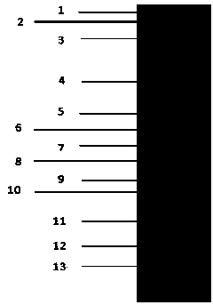 Method for identifying vipera russelli venom and application of method