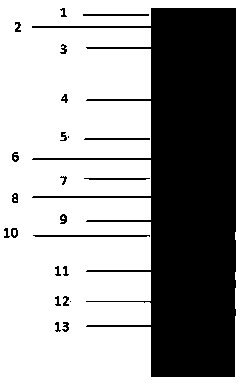 Method for identifying vipera russelli venom and application of method