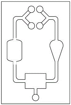 Use method of biological chip used for shear force experiment