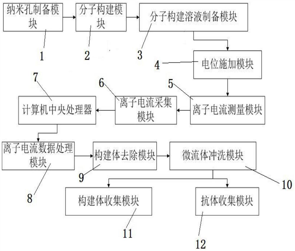 A nanopore functional control method and system