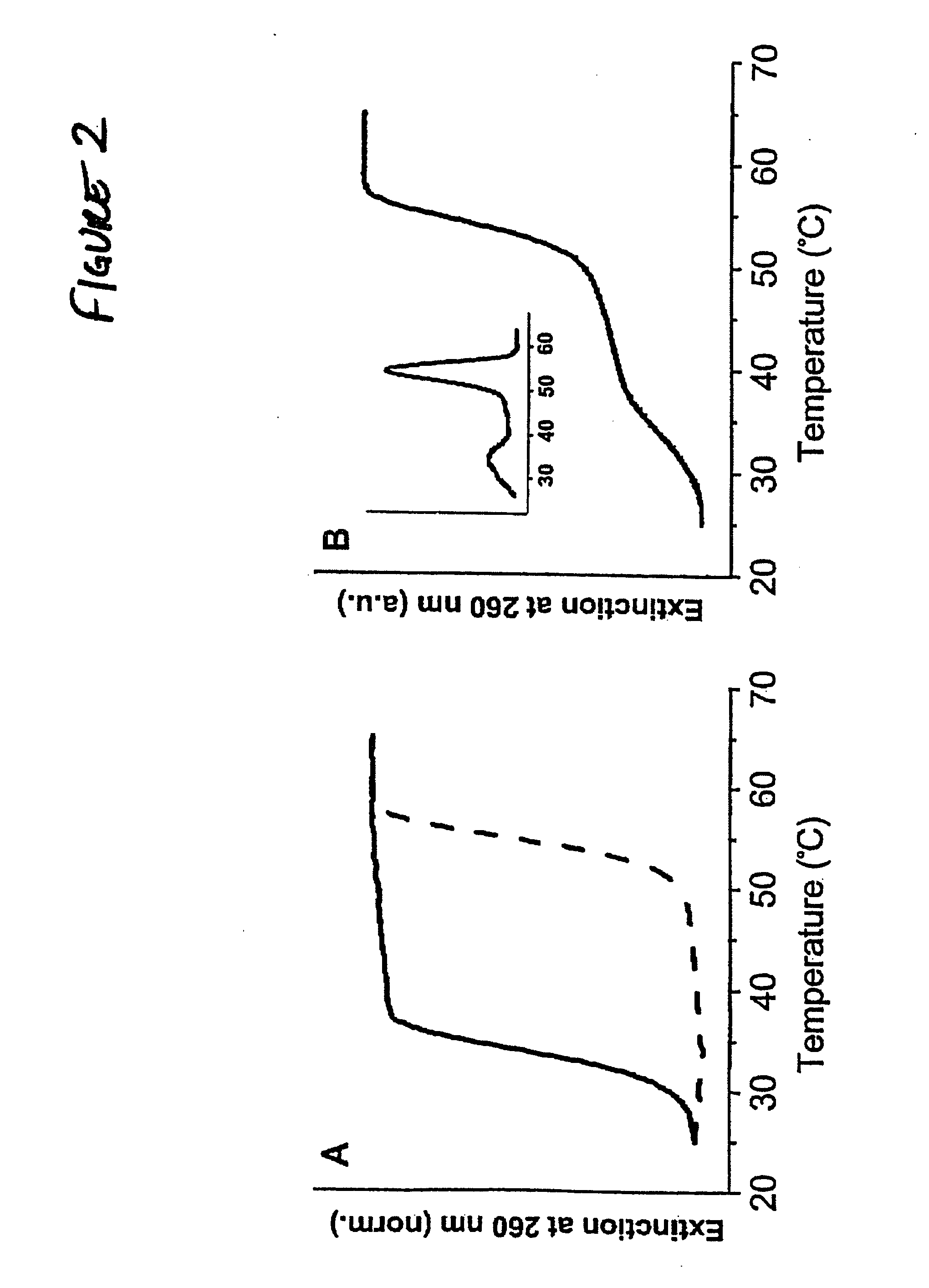 Bio-barcode based detection of target analytes