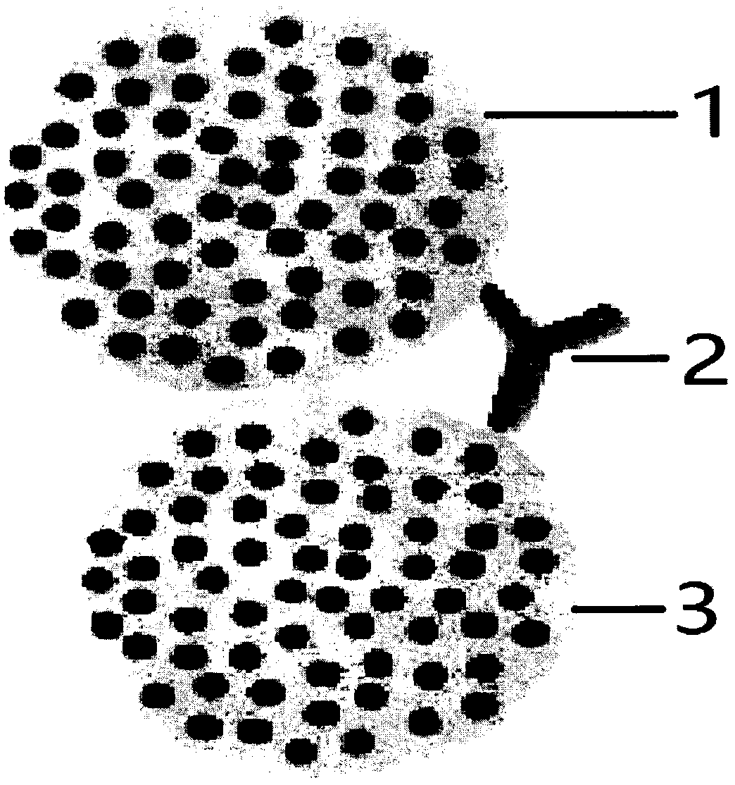 Improvement method for antenatal gene chip detection