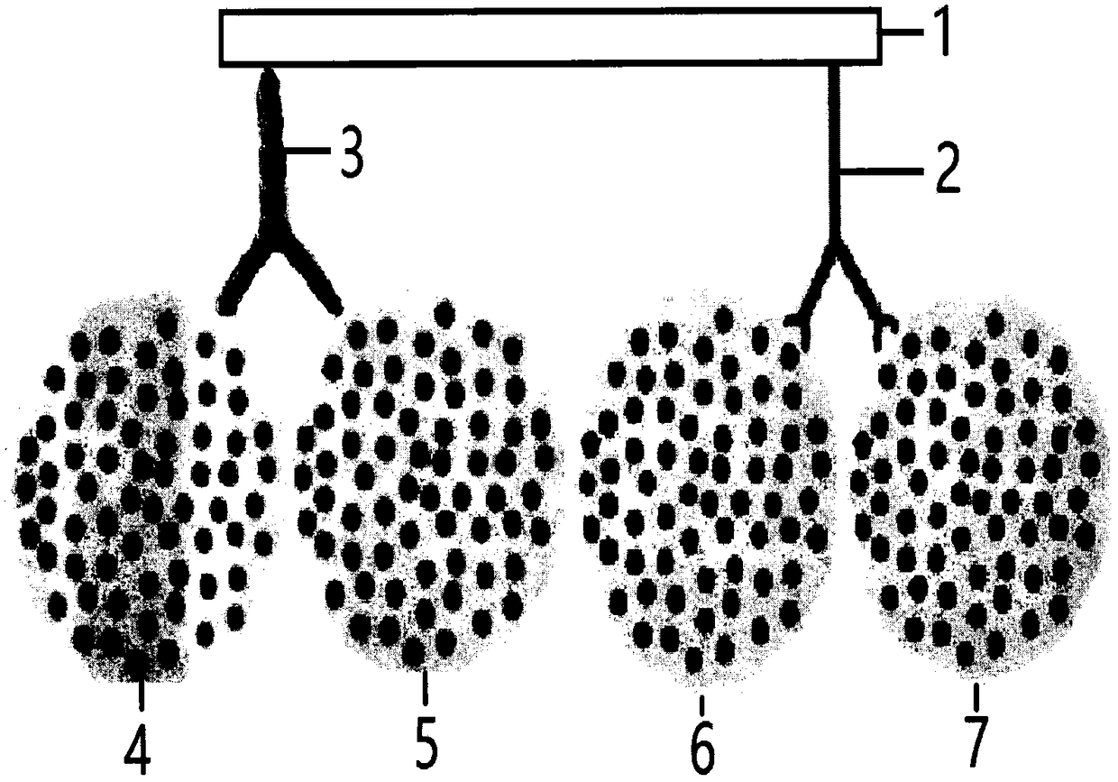 Improvement method for antenatal gene chip detection