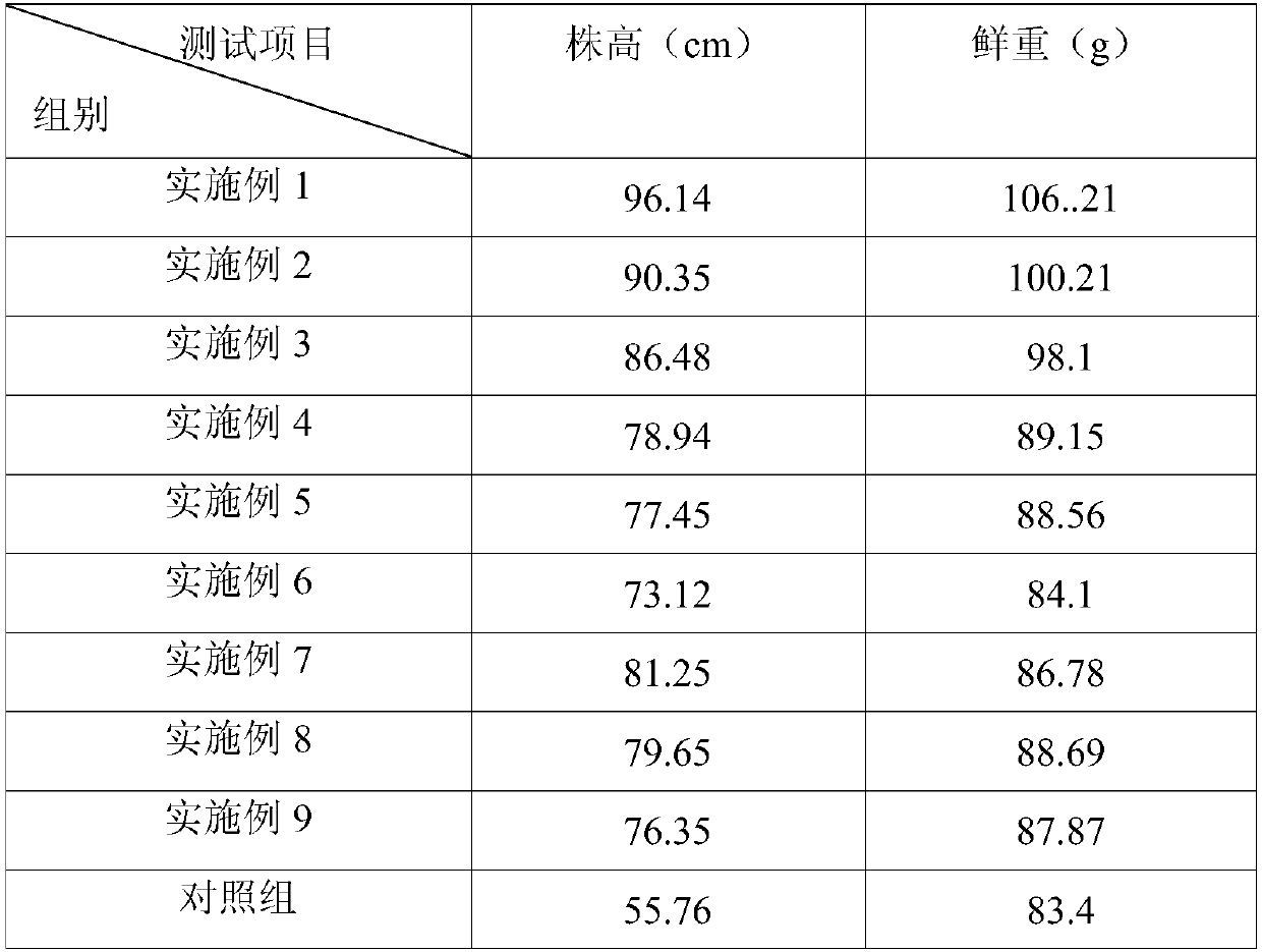 Nutrient solution for soilless culture of chicory and preparation method thereof