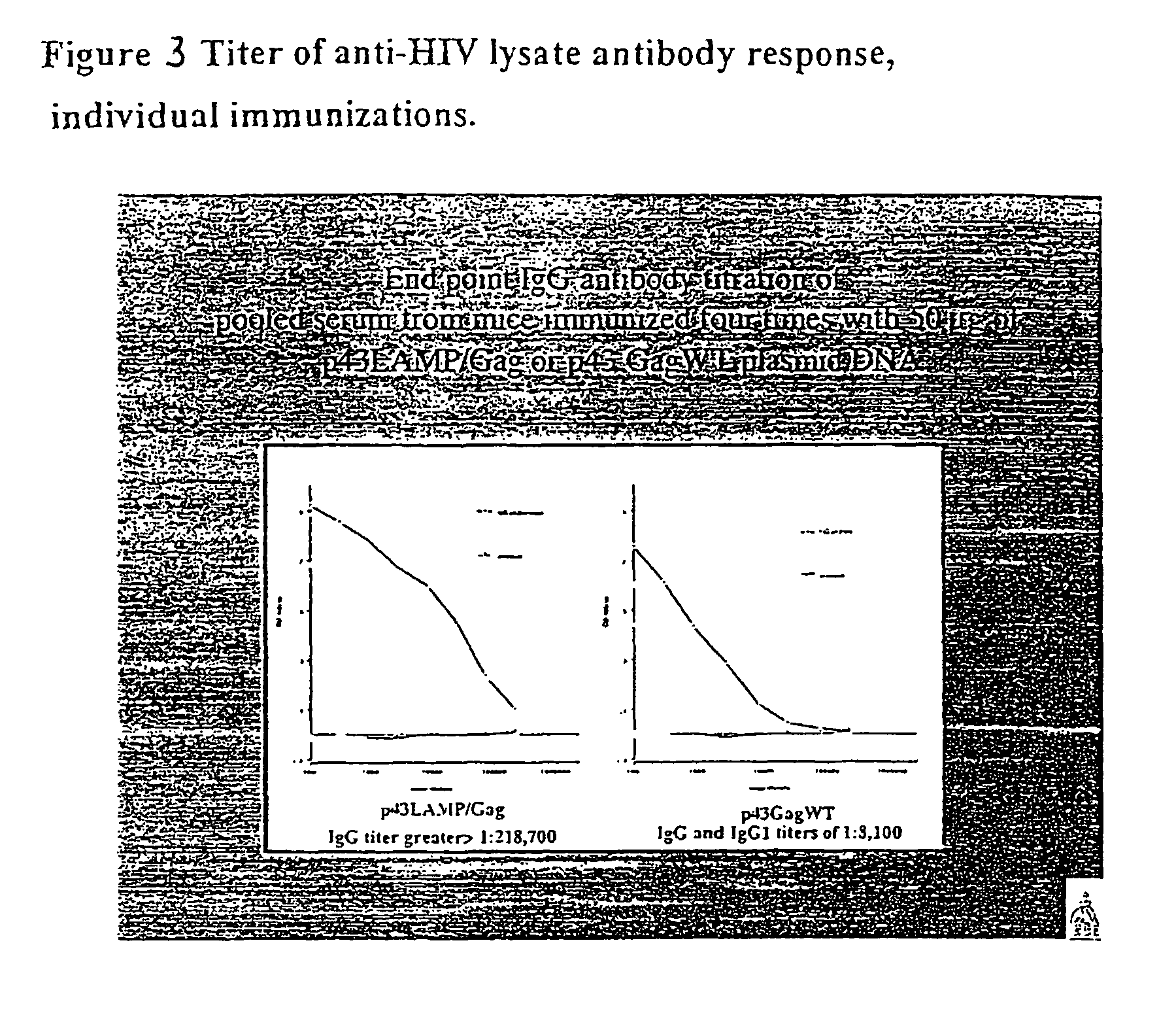 Chimeric vaccines