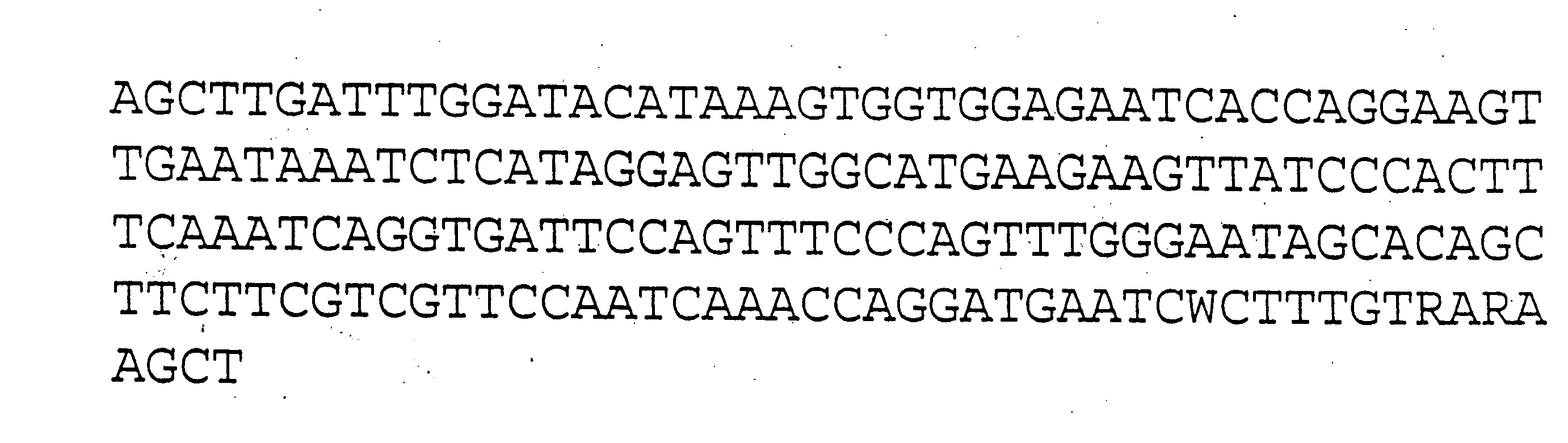 Plant centromere compositions