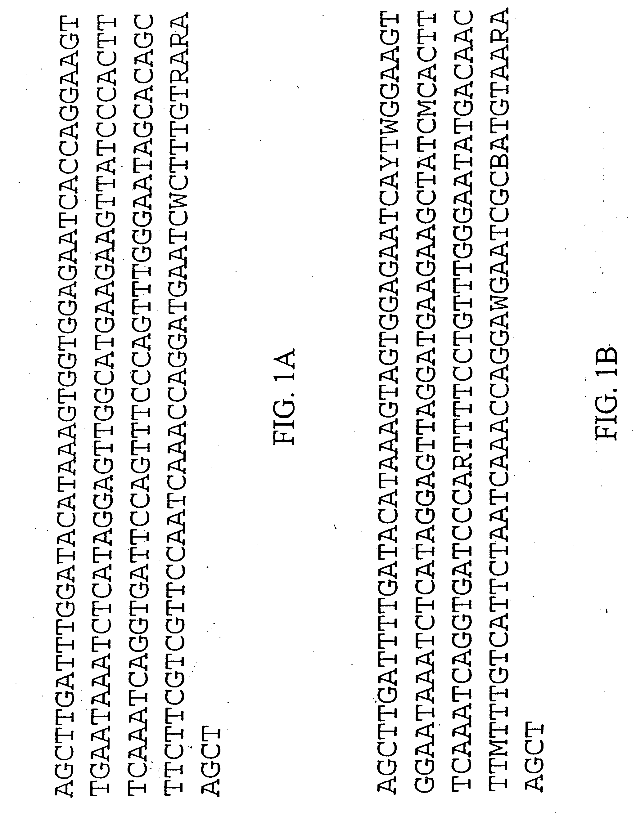 Plant centromere compositions