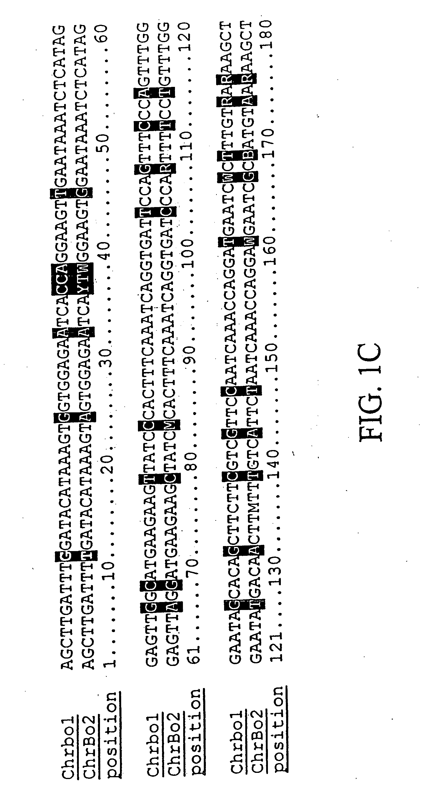 Plant centromere compositions