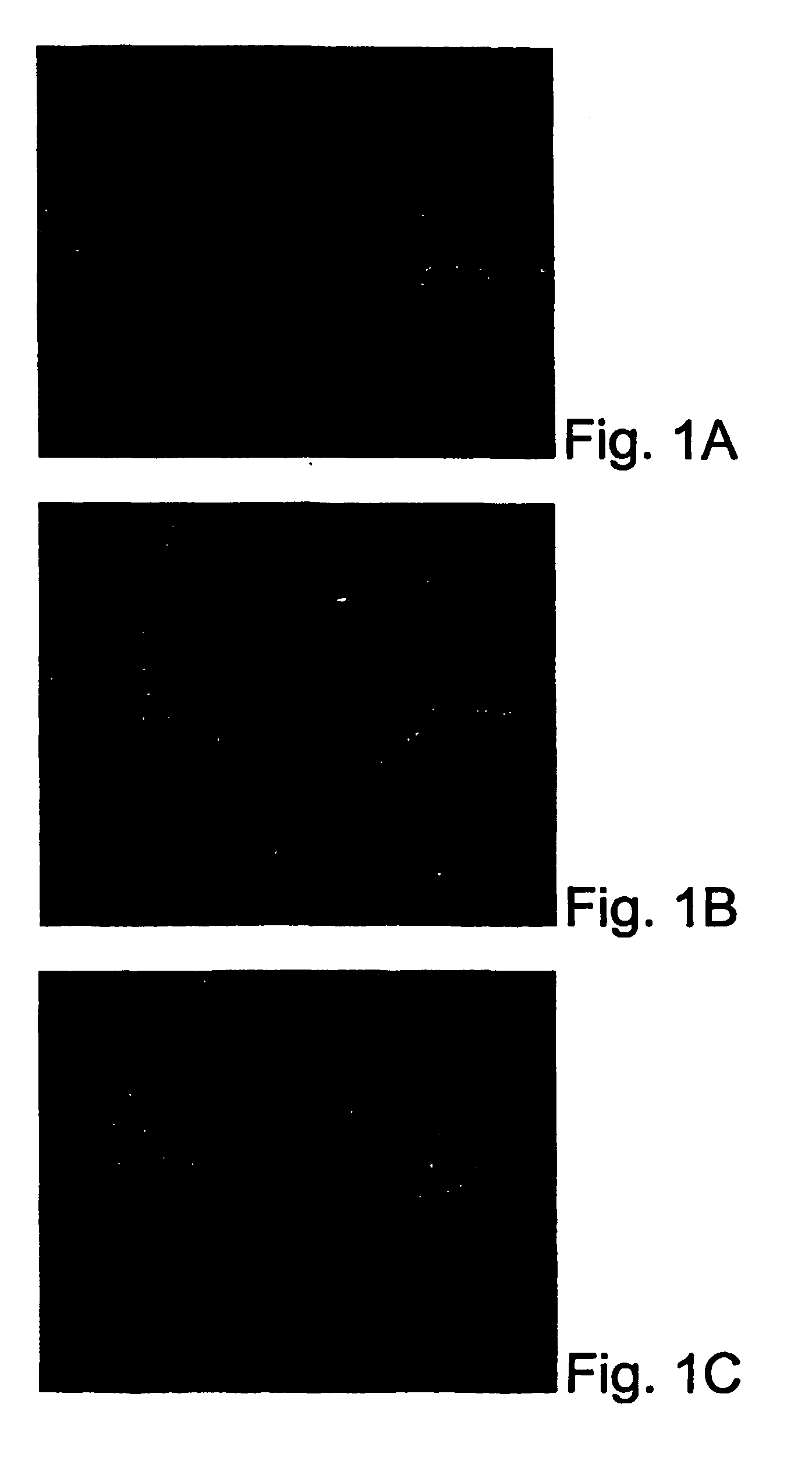 Methods of treating involuntary facial spasms and facial wrinkles