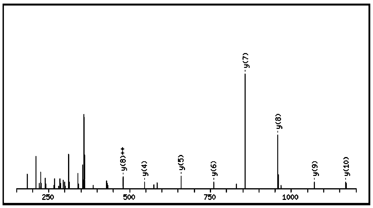 A kind of bioactive polypeptide avpitptlnreq and its preparation method and application