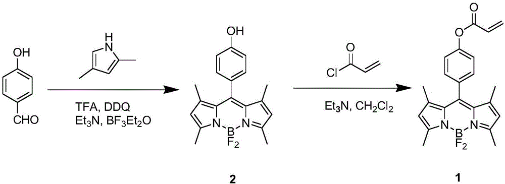 Preparation method and application of BODIPY (boron-dipyrromethene) and Cys (cysteine) fluorescent probe