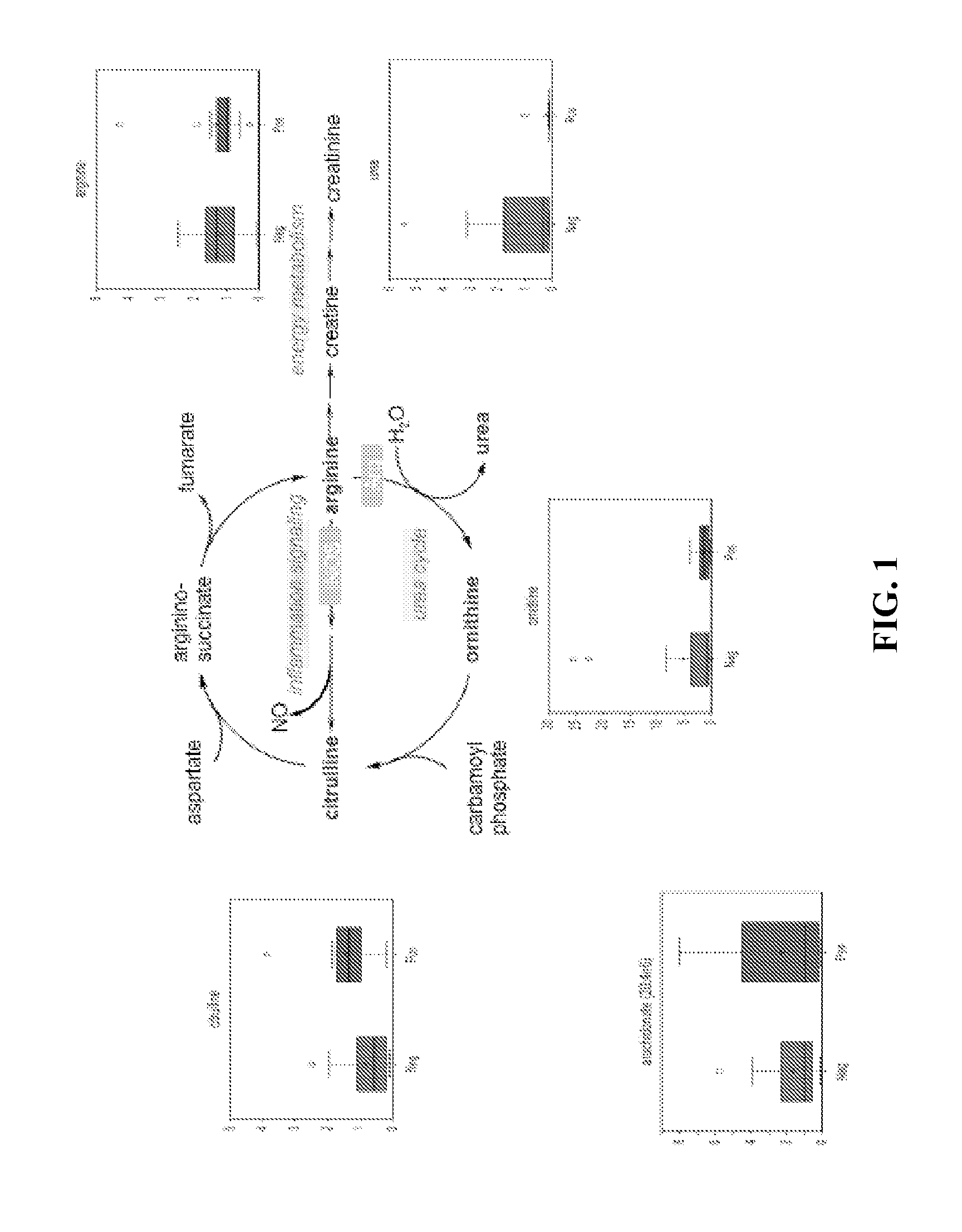 Methods and uses for metabolic profiling for clostridium difficile infection