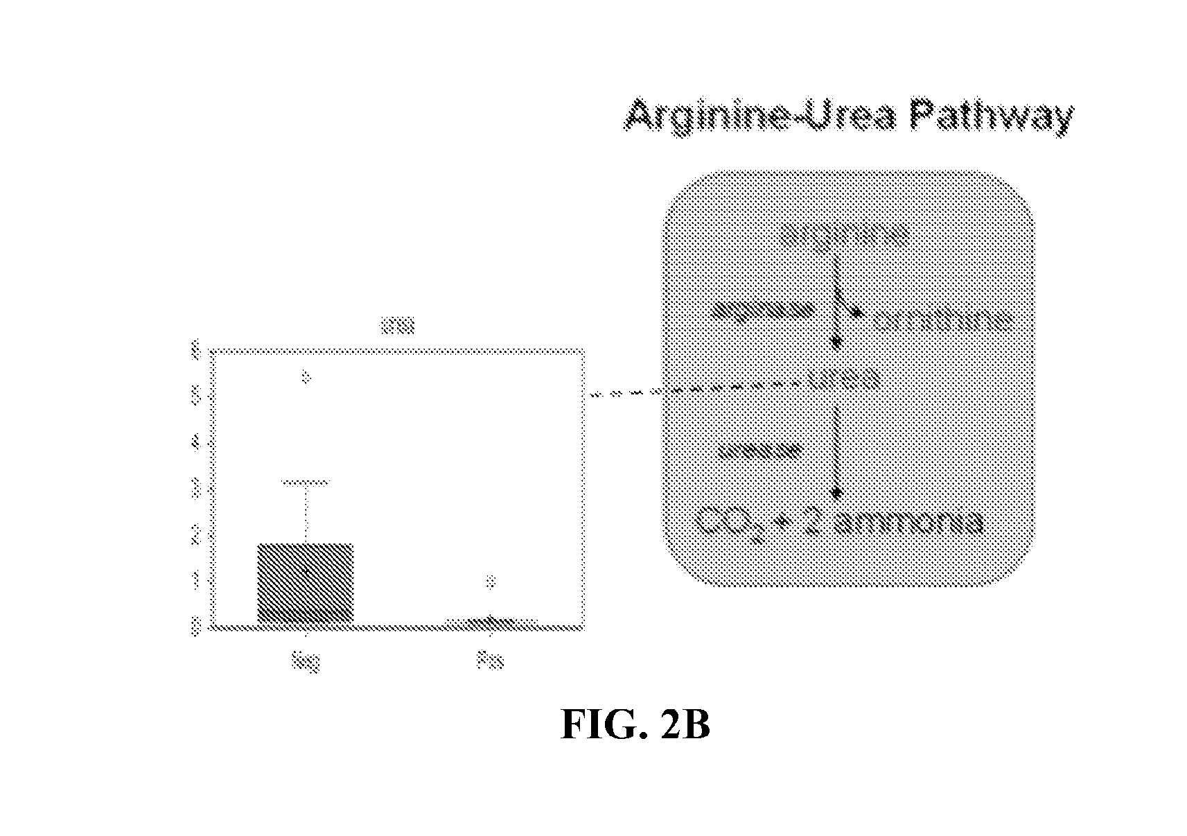 Methods and uses for metabolic profiling for clostridium difficile infection