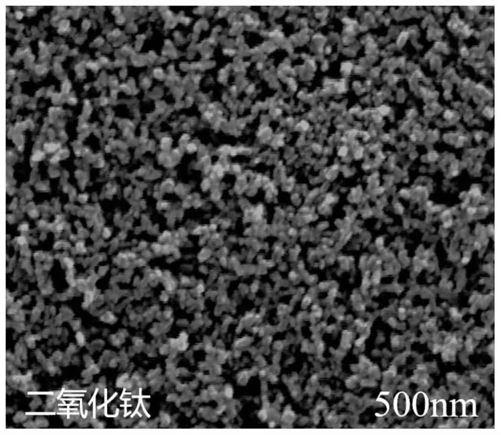 Preparation method and application of a hydrogel-modified highly stable carbon-based holographic disc