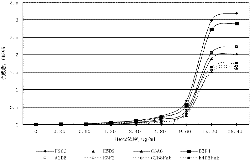 Fully humanized antihuman HER2 monoclonal antibody