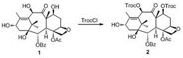 Docetaxel side chain 2'-derived novel taxanes antitumor compound as well as synthesis method and application thereof