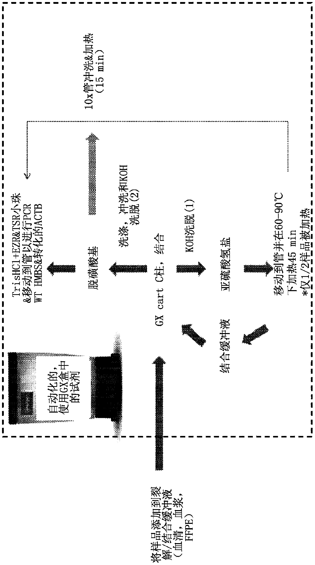 Integrated purification and measurement of DNA methylation and co-measurement of mutations and/or mRNA expression levels in an automated reaction cartridge