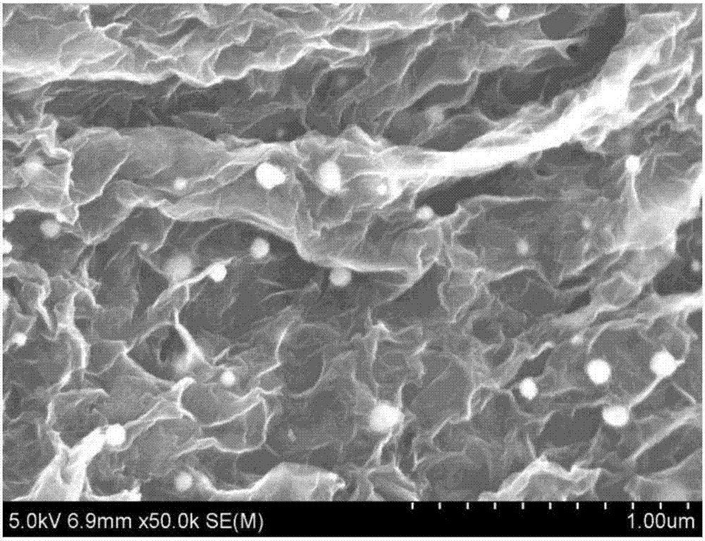 Composite material of nitrogen doped three-dimensional graphene supported nano silver and preparation method thereof