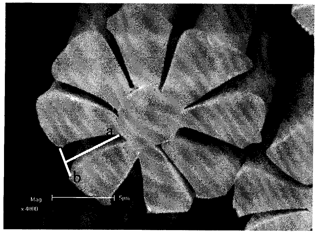 Deep-dyed elastic fabric and production method thereof