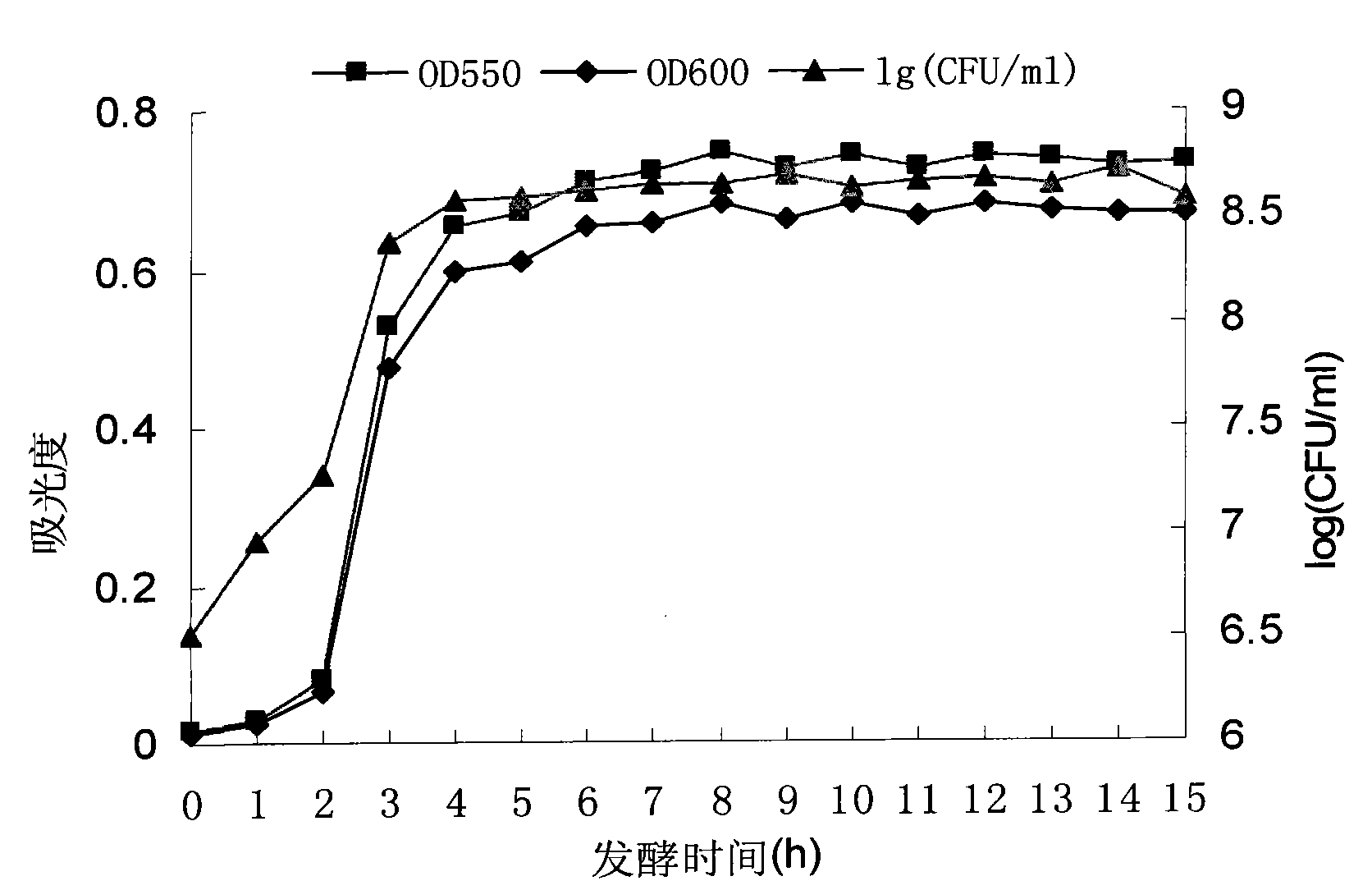 New strain of bifidobacterium and fermentative preparation method and application thereof