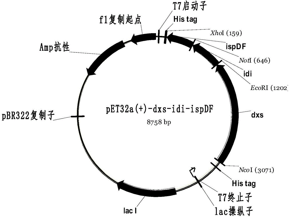 Method for producing beta-carotene, and genetically engineered bacterium thereof