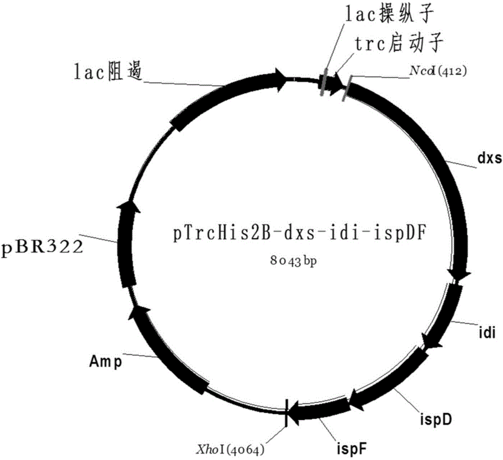 Method for producing beta-carotene, and genetically engineered bacterium thereof