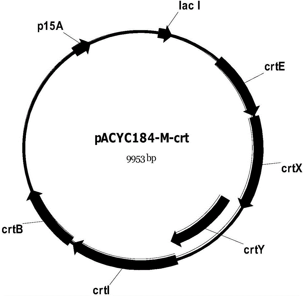 Method for producing beta-carotene, and genetically engineered bacterium thereof