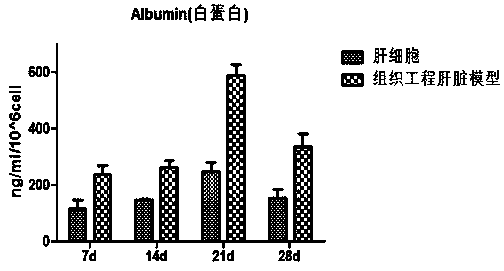 Preparation method of tissue-engineered hepatic model