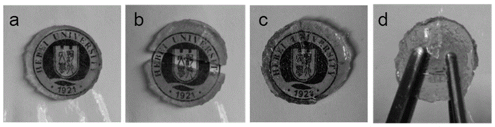 Temperature-sensitive self-repairing hydrogel and preparation method and application thereof