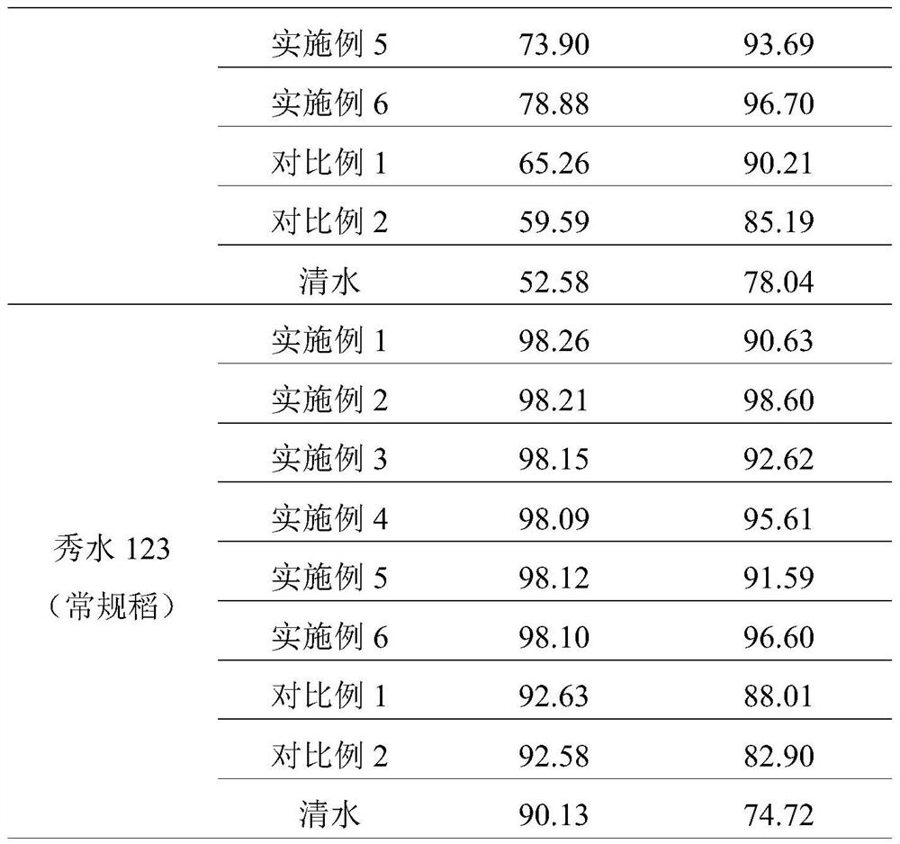 Pesticide composition for promoting rooting and increasing yield and application thereof